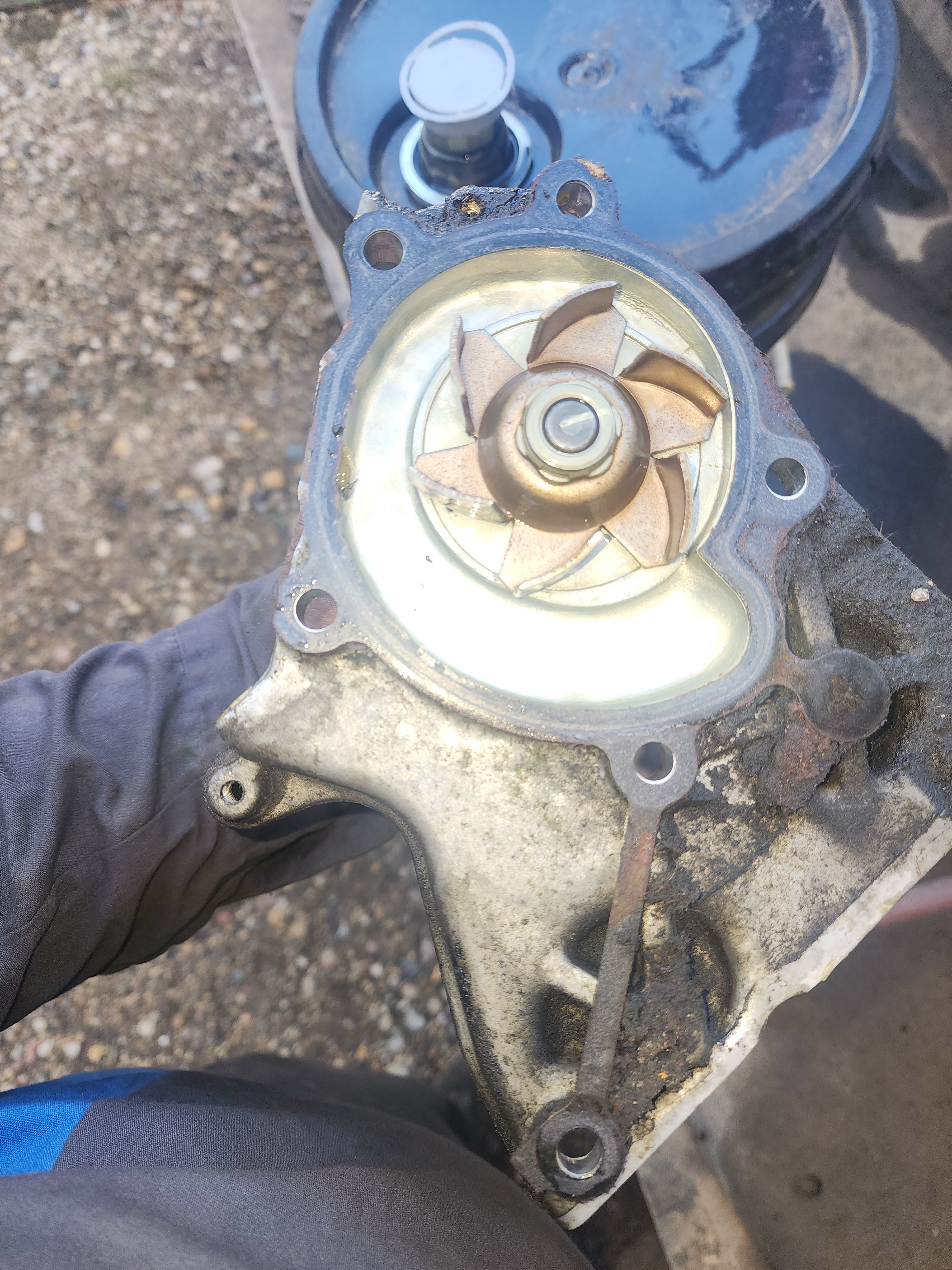 Removed Yale forklift water pump with its impeller and gasket surface visible.